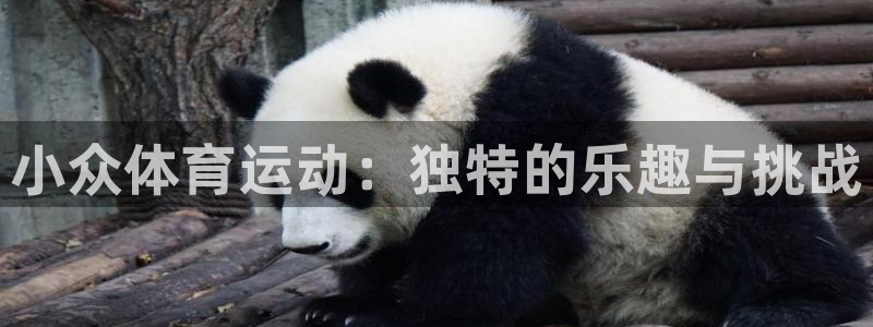3377体育官网下载招商电话地址查询:小众体育运动:独特的乐