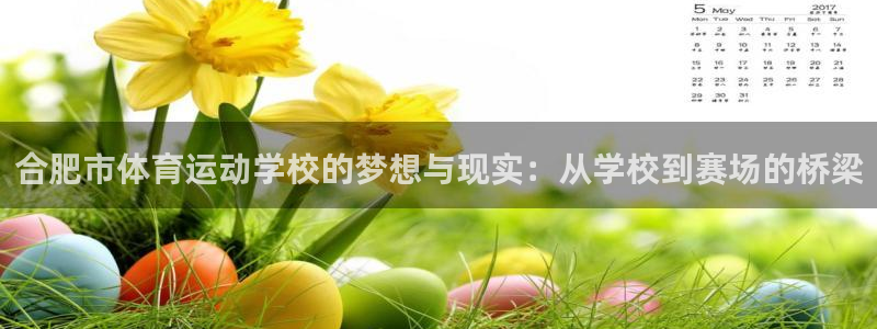 3377体育官网下载娱乐:合肥市体育运动学校的梦想与现实:从