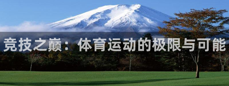 3377体育官方正版app开户:竞技之巅:体育运动的极限与可